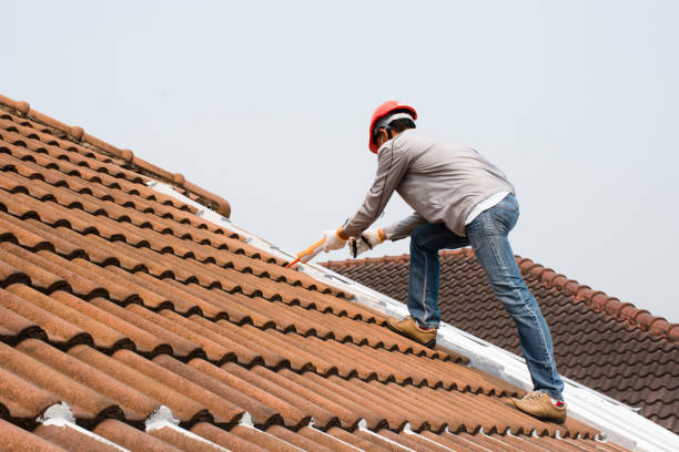 Fast & Reliable Emergency Roof Repairs in Mount Juliet, TN